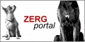 Zerg - Portal